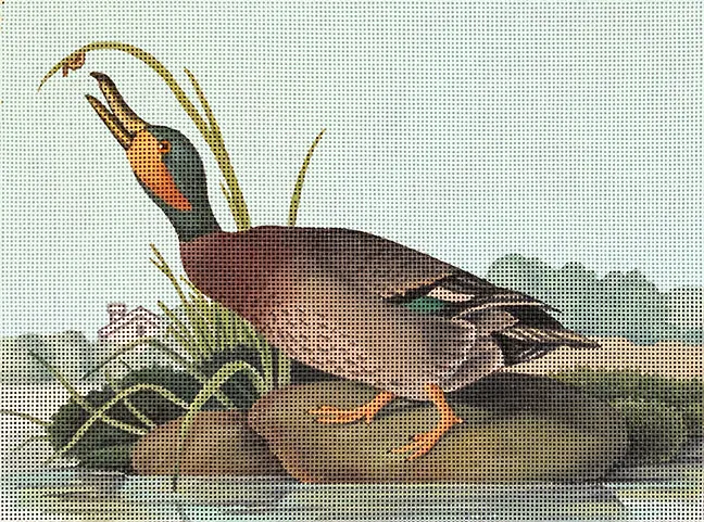 2247 - Vintage Duck