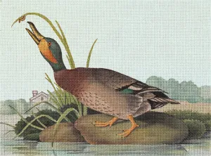 2247 - Vintage Duck