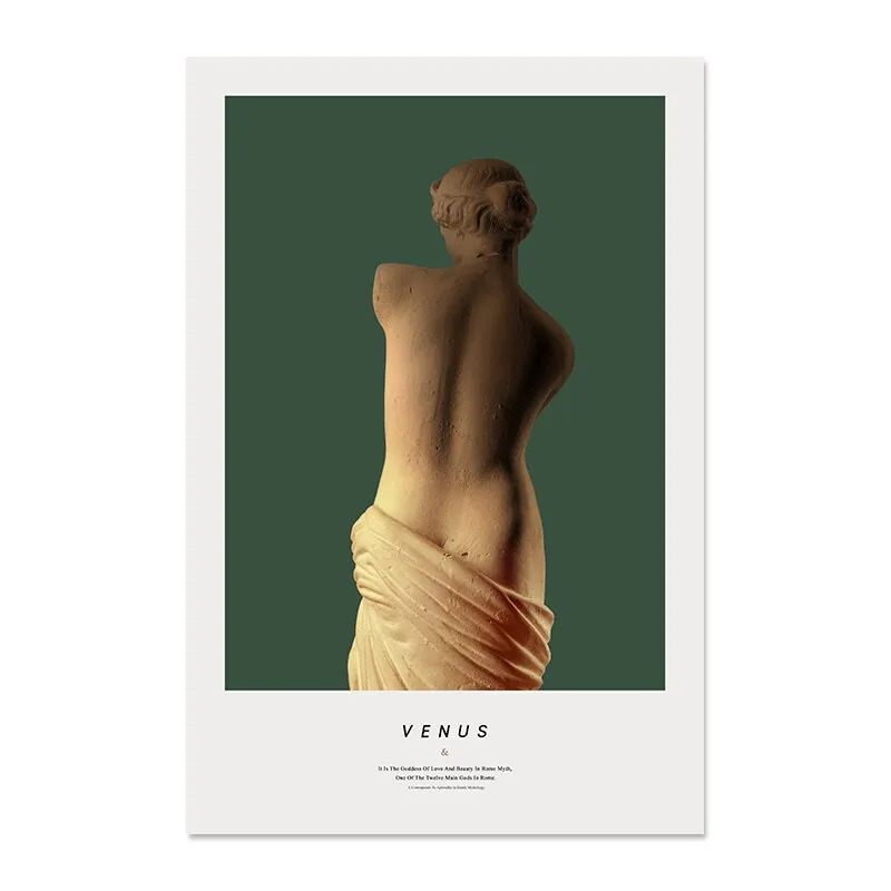 Abstract Renaissance Venus Vintage Canvas Wall Art