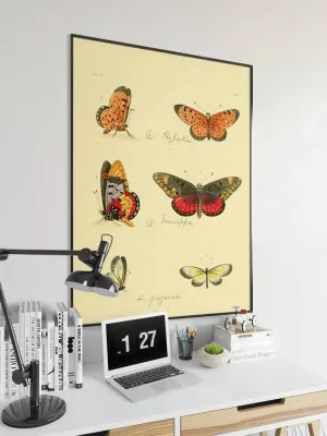 Butterfly Poster Print| Vintage Science Print