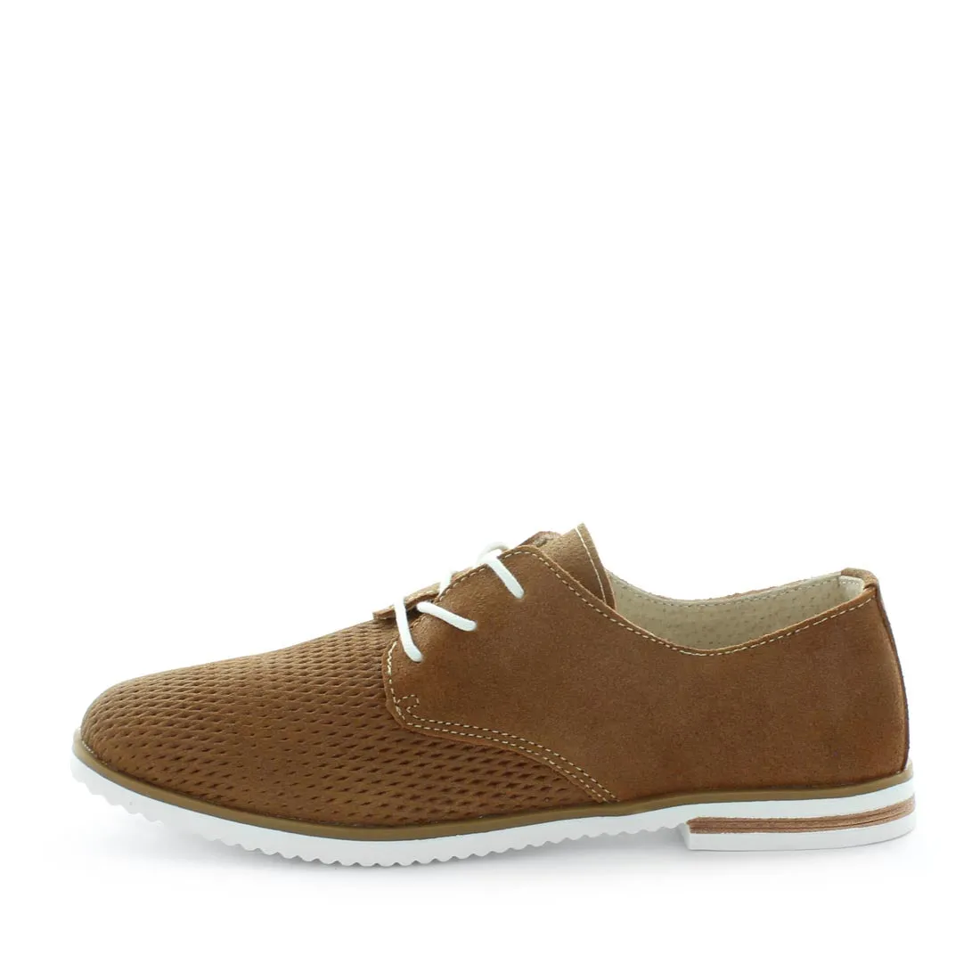 Charya Flats