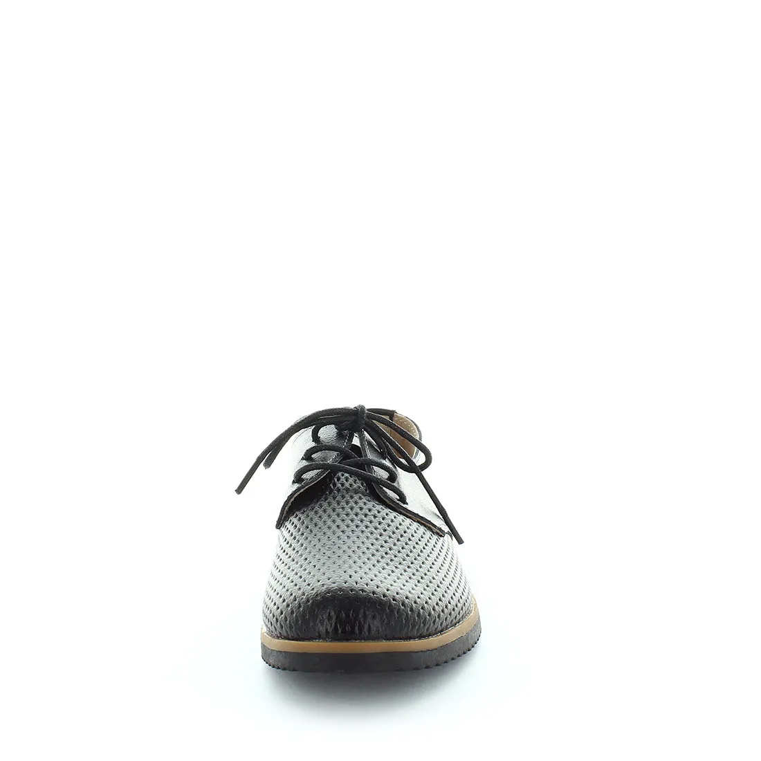 Charya Flats