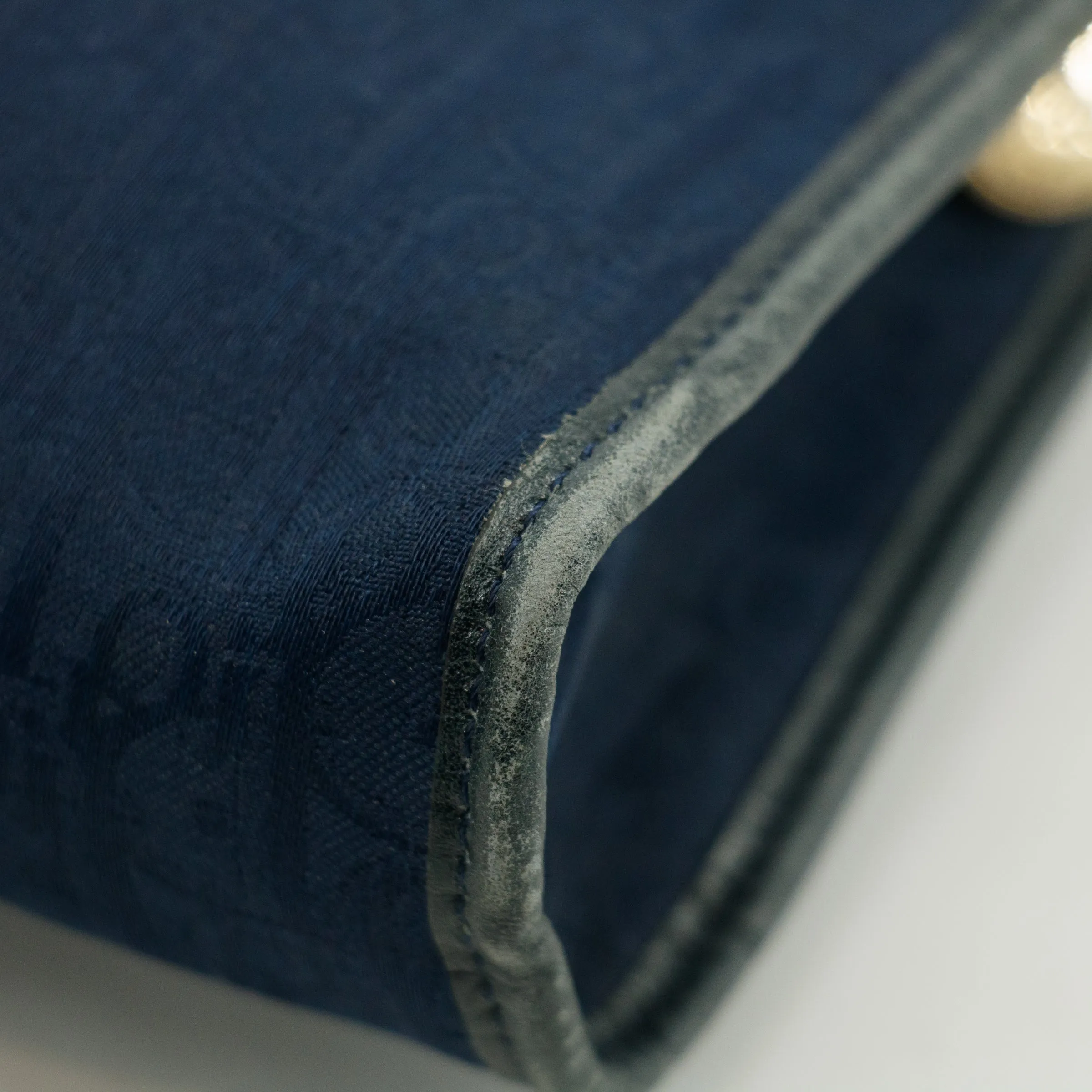 Christian Dior Vintage Trotter Blue Canvas Pouch #3439