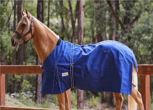 Eureka Unlined Blue Canvas Rug