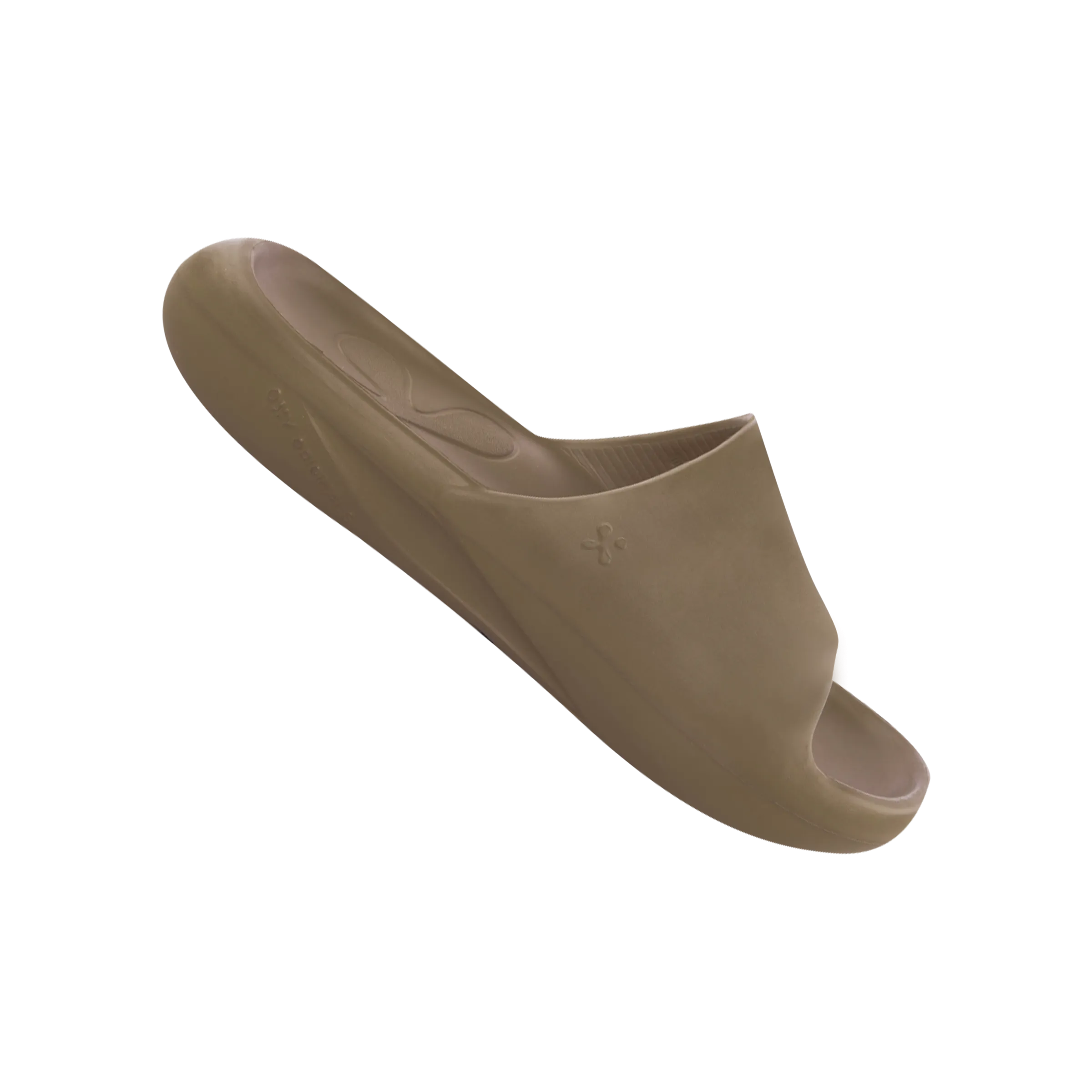 EXPEDITION Cedar
