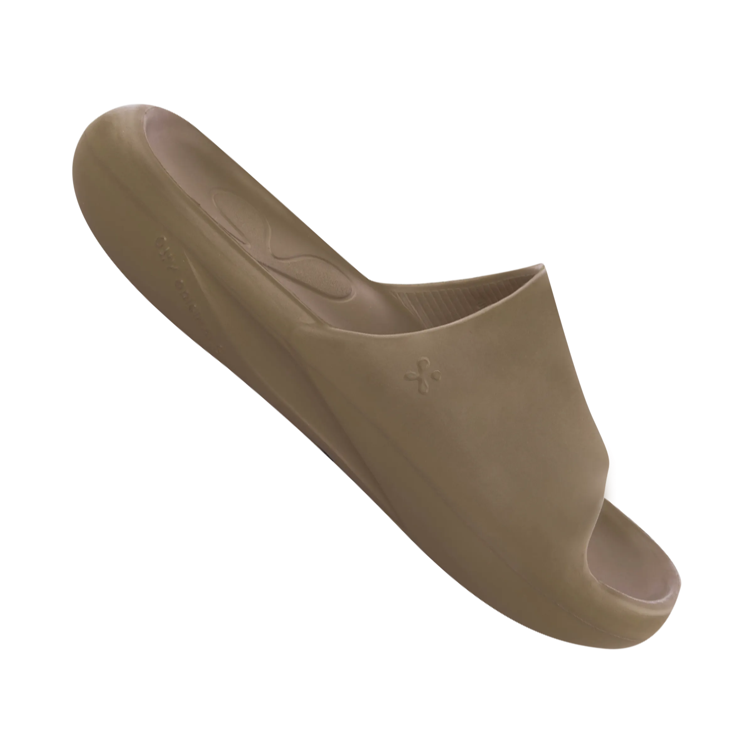 EXPEDITION Cedar