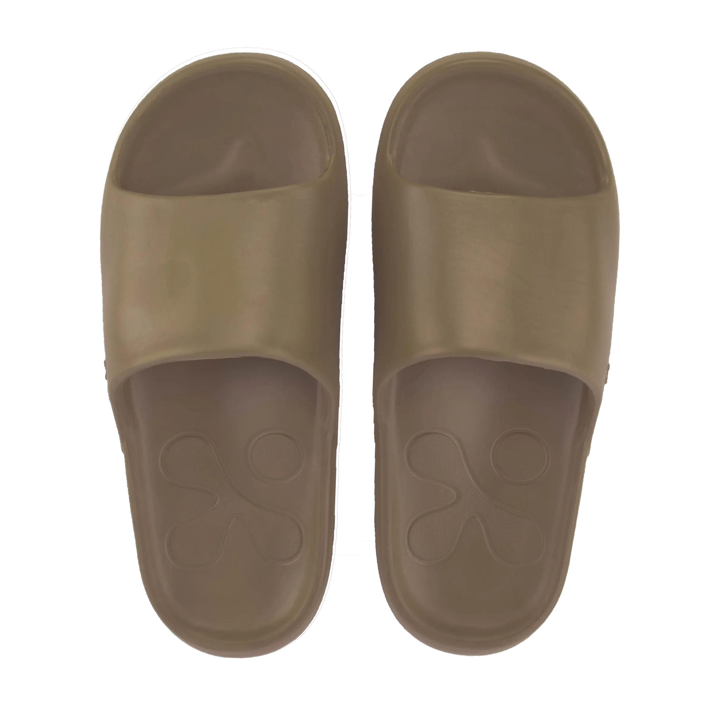 EXPEDITION Cedar