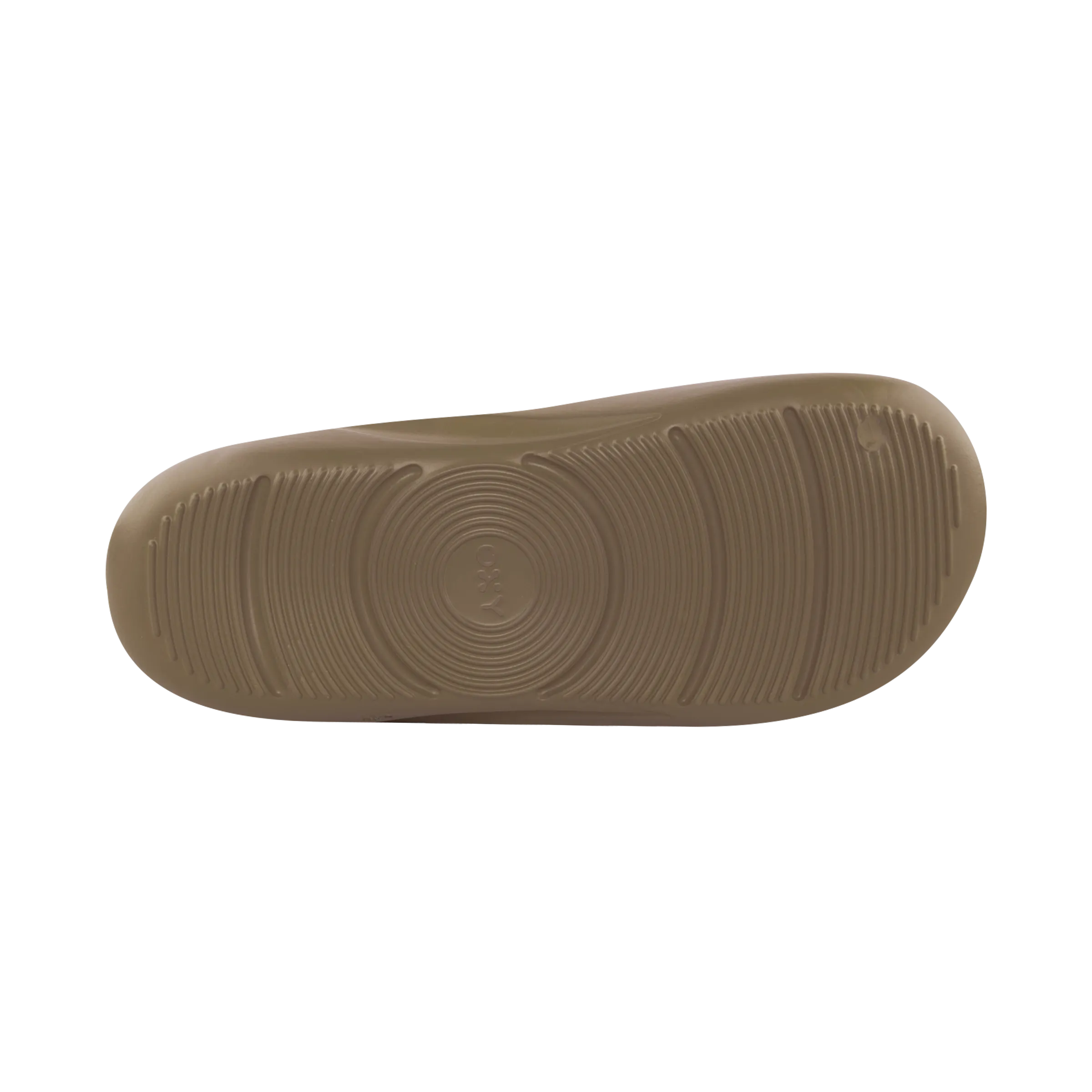 EXPEDITION Cedar