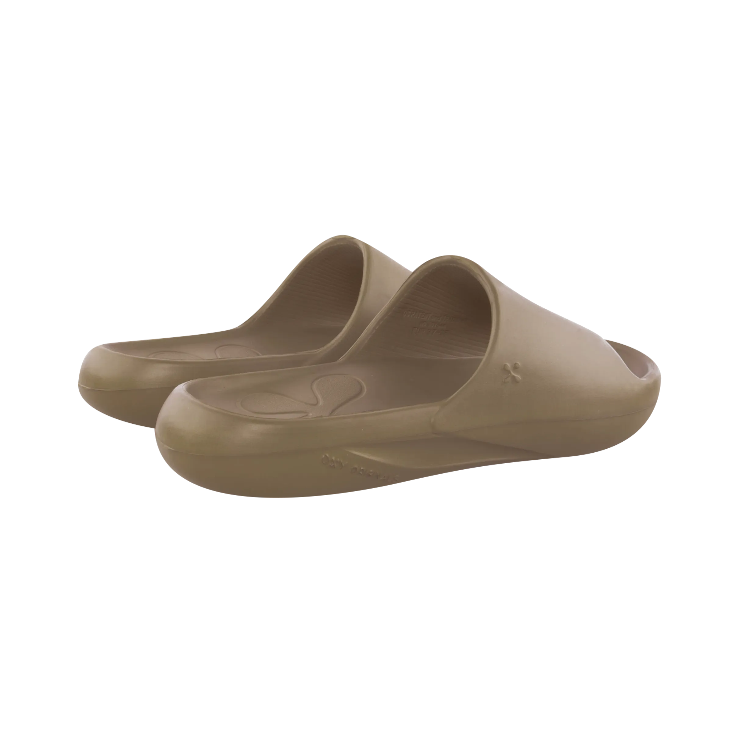 EXPEDITION Cedar