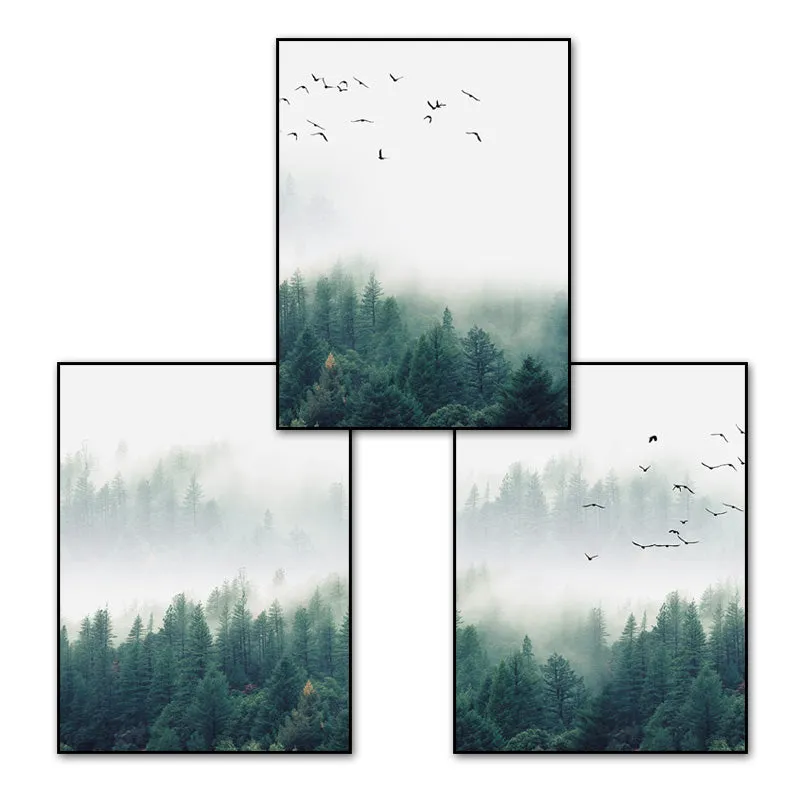 Fog Forest Birds Landscape