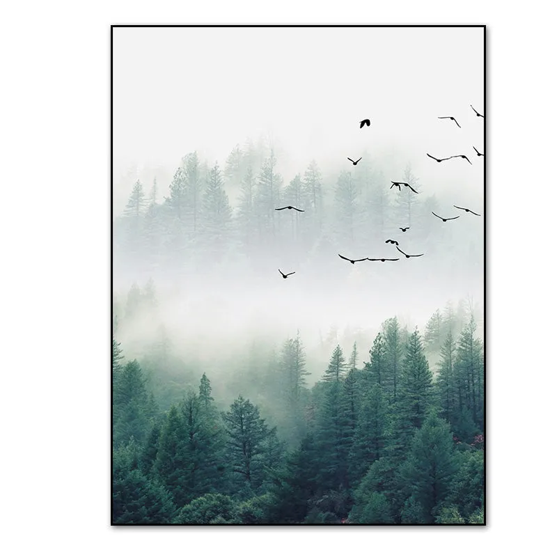 Fog Forest Birds Landscape