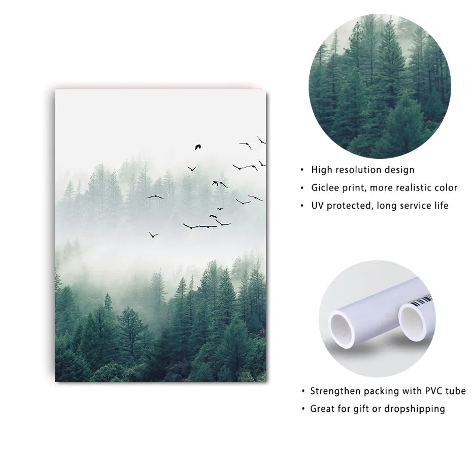 Fog Forest Birds Landscape
