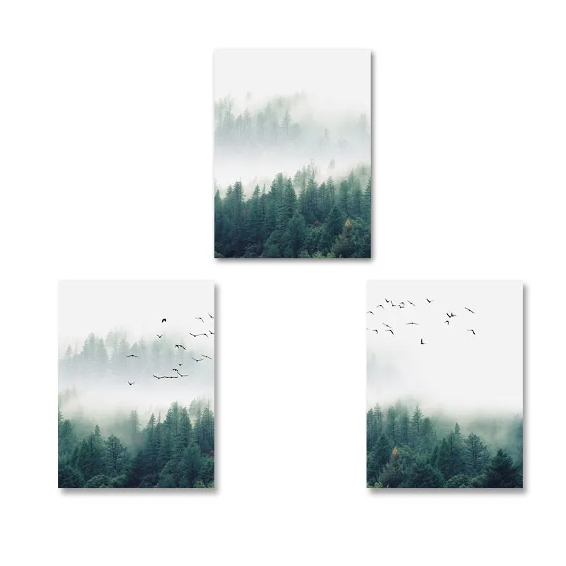 Fog Forest Birds Landscape
