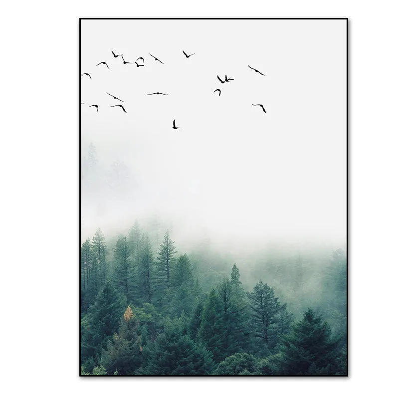 Fog Forest Birds Landscape