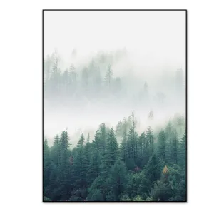 Fog Forest Birds Landscape