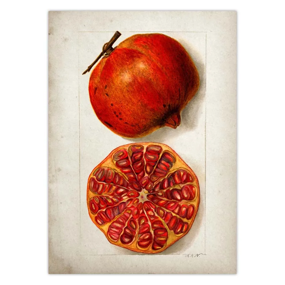 Fruit Kitchen Poster Vintage Wall Art