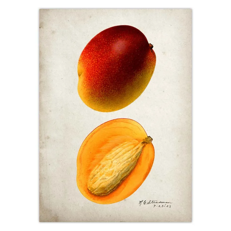 Fruit Kitchen Poster Vintage Wall Art