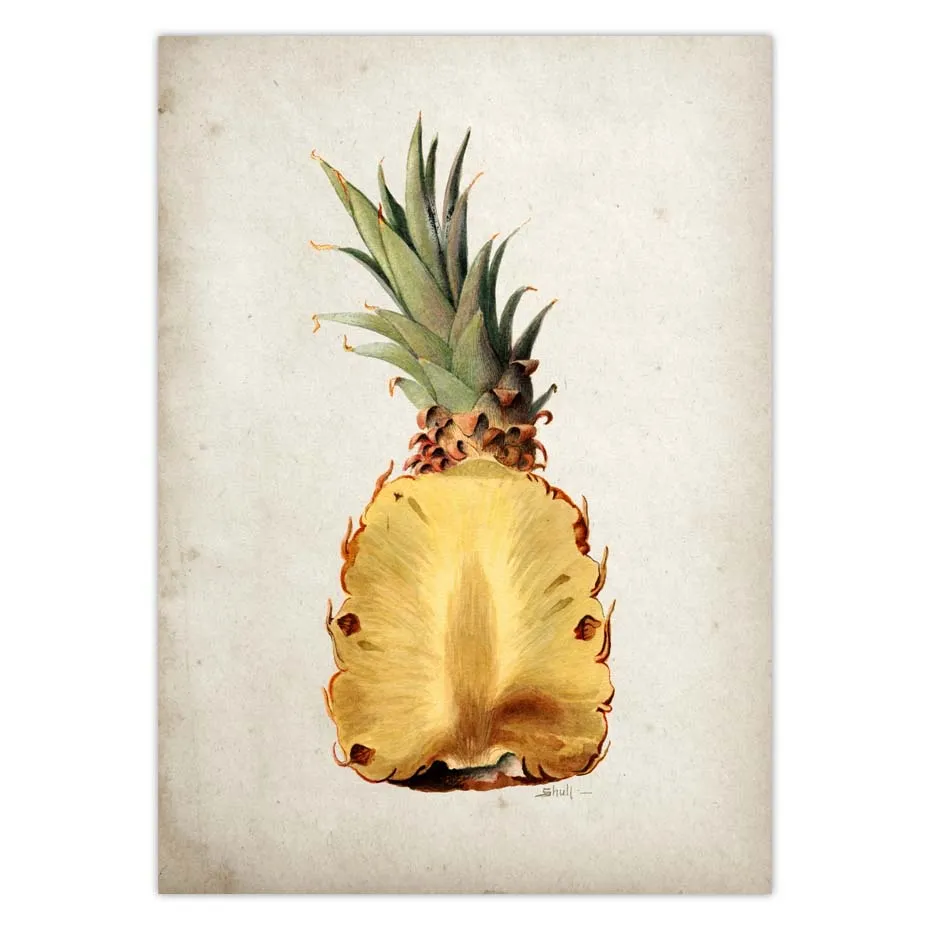 Fruit Kitchen Poster Vintage Wall Art