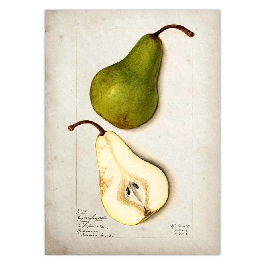 Fruit Kitchen Poster Vintage Wall Art