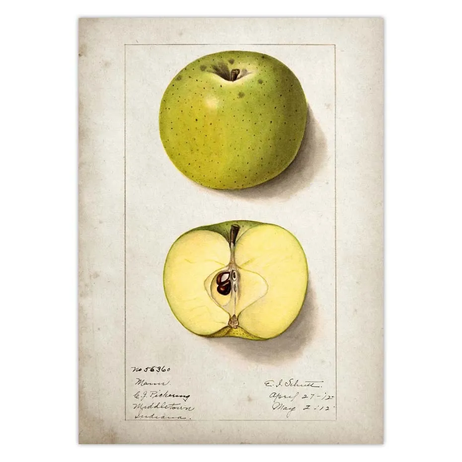 Fruit Kitchen Poster Vintage Wall Art