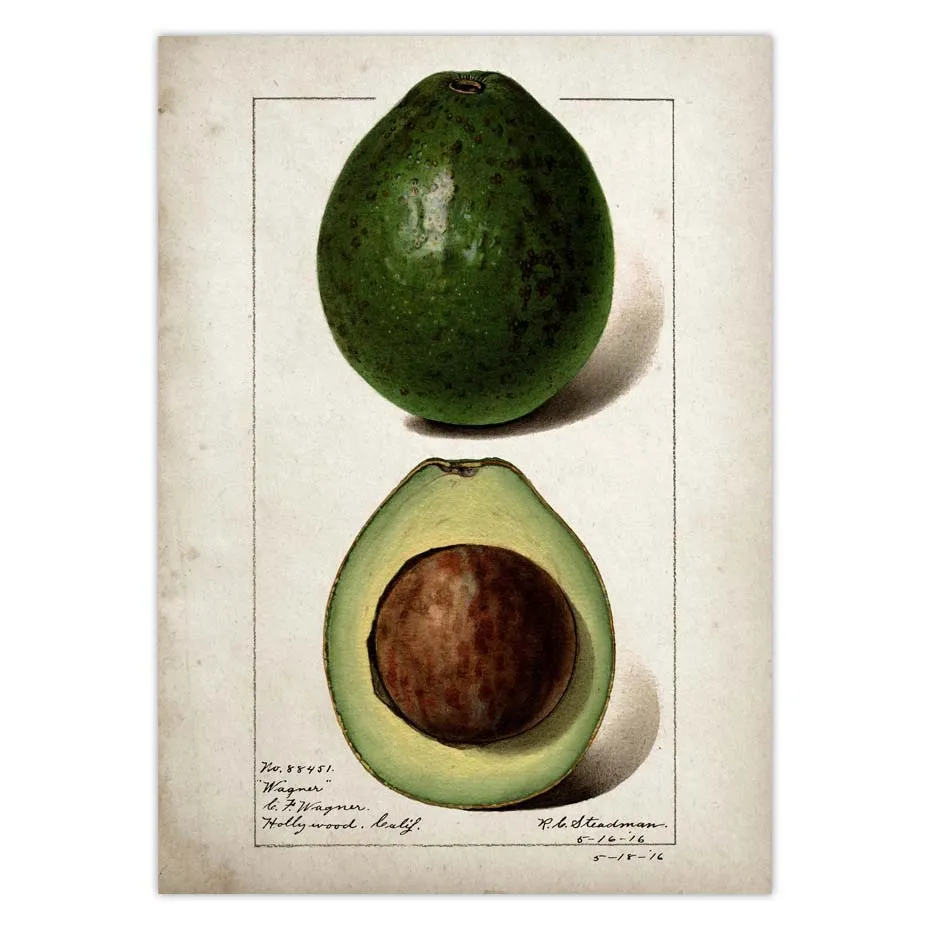 Fruit Kitchen Poster Vintage Wall Art