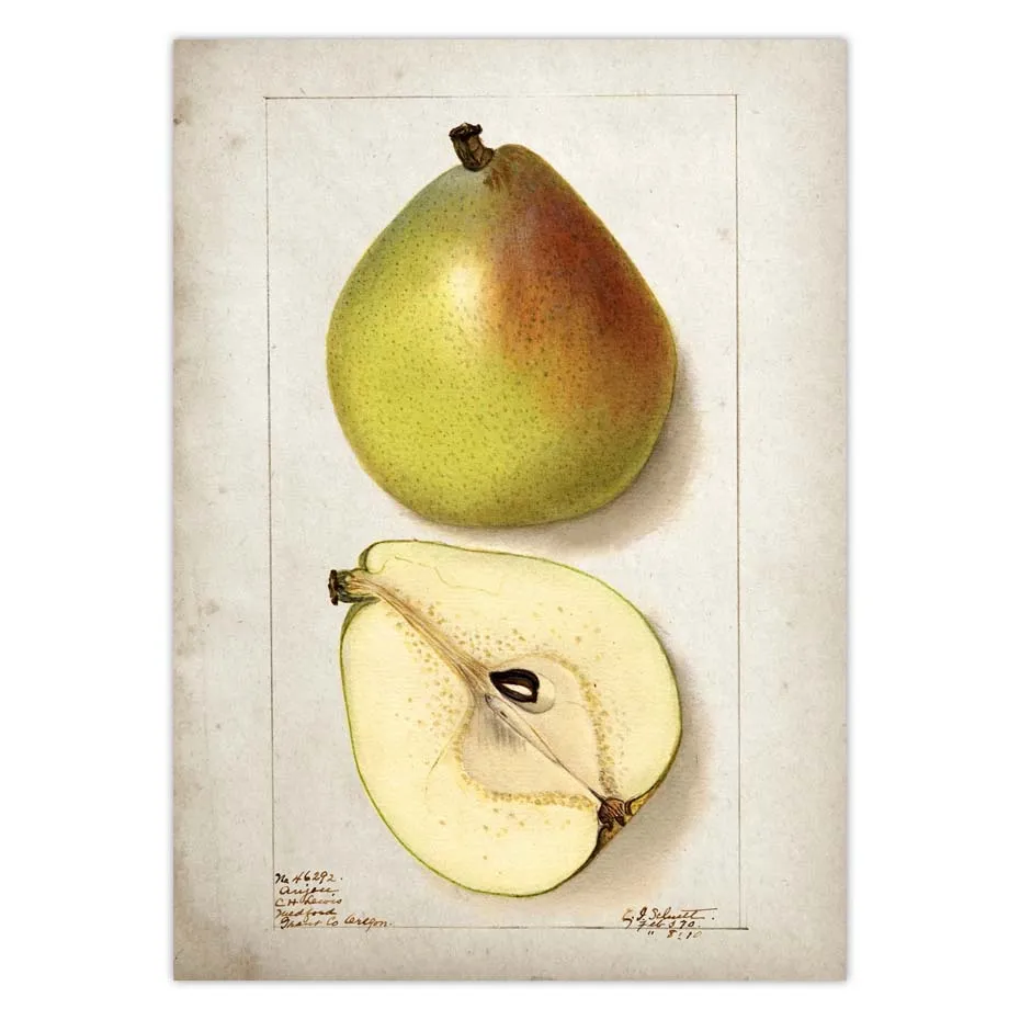 Fruit Kitchen Poster Vintage Wall Art