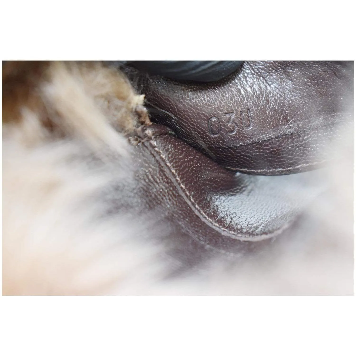 GUCCI Princetown Fur Leather Slipper Cocoa Brown US 7 - 25% OFF