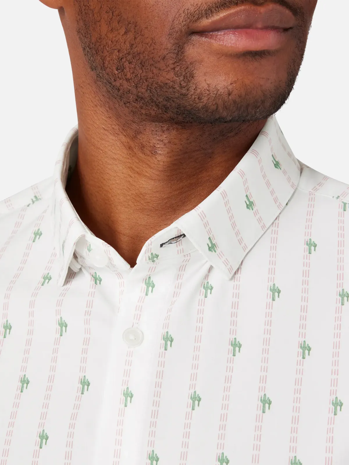 Leeward SS Dress Shirt - Rose Cactus Stripe