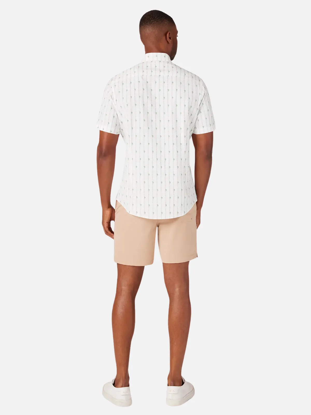 Leeward SS Dress Shirt - Rose Cactus Stripe