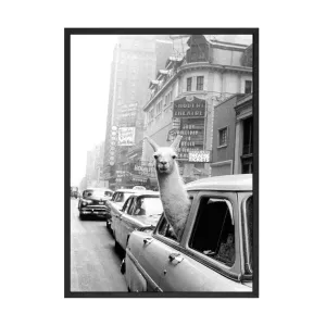 Llama in a taxi on Times Square Wall Art