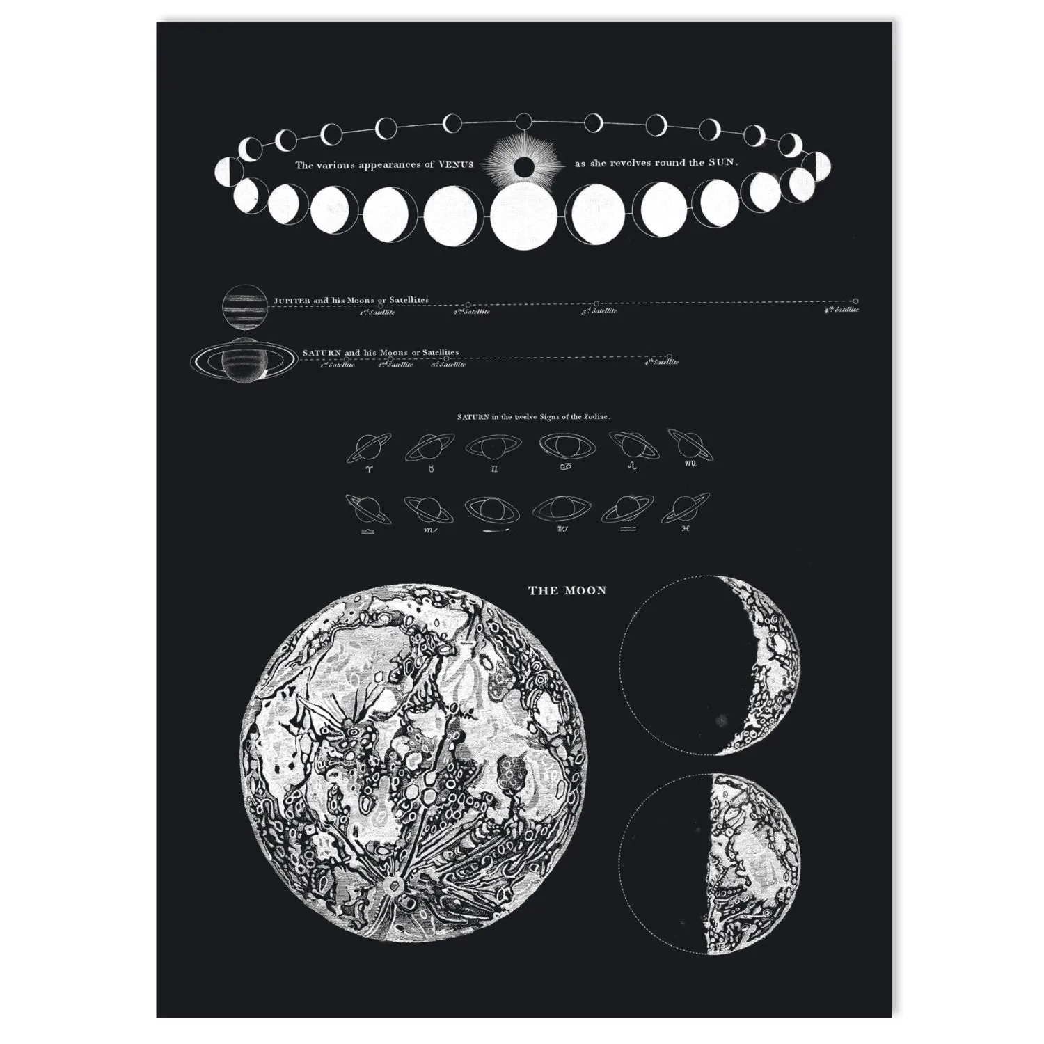 Made in USA Antique Reproduction Pull Down Chart of Moon Phases