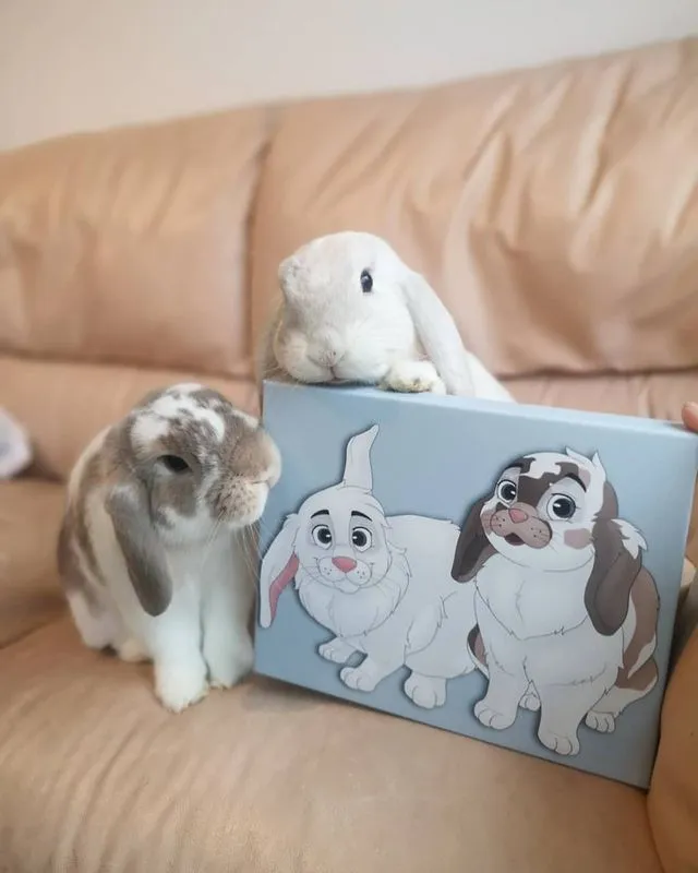 PetToonies Custom Canvas (2 Pets)