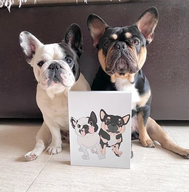 PetToonies Custom Canvas