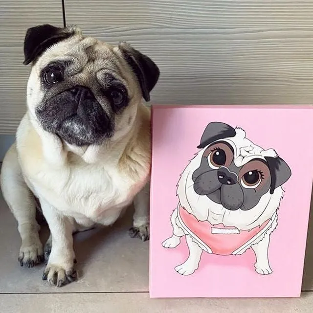 PetToonies Custom Canvas