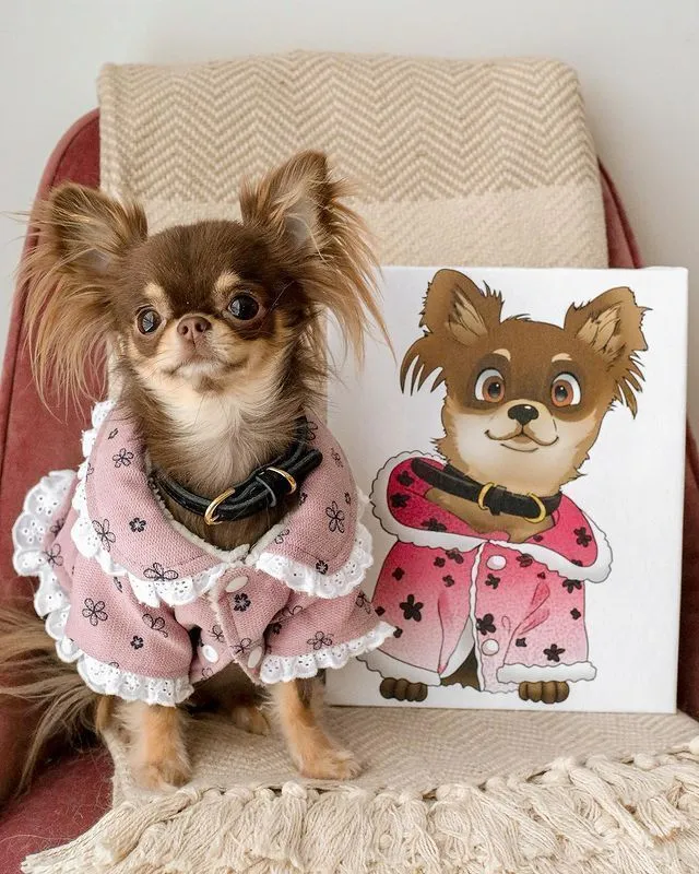 PetToonies Custom Canvas