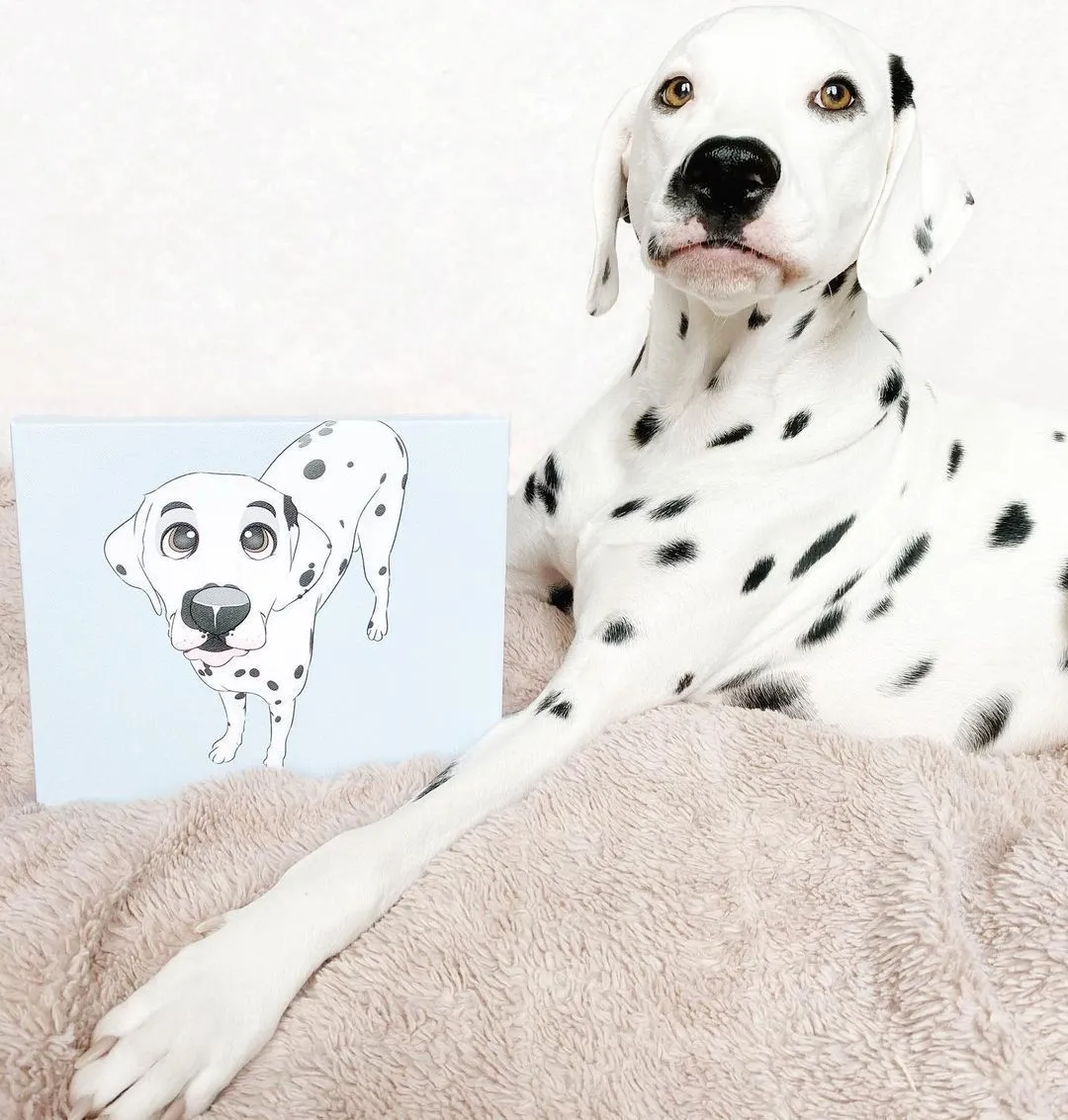 PetToonies Custom Canvas