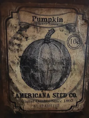 Pumpkin Seed Canvas Painting
