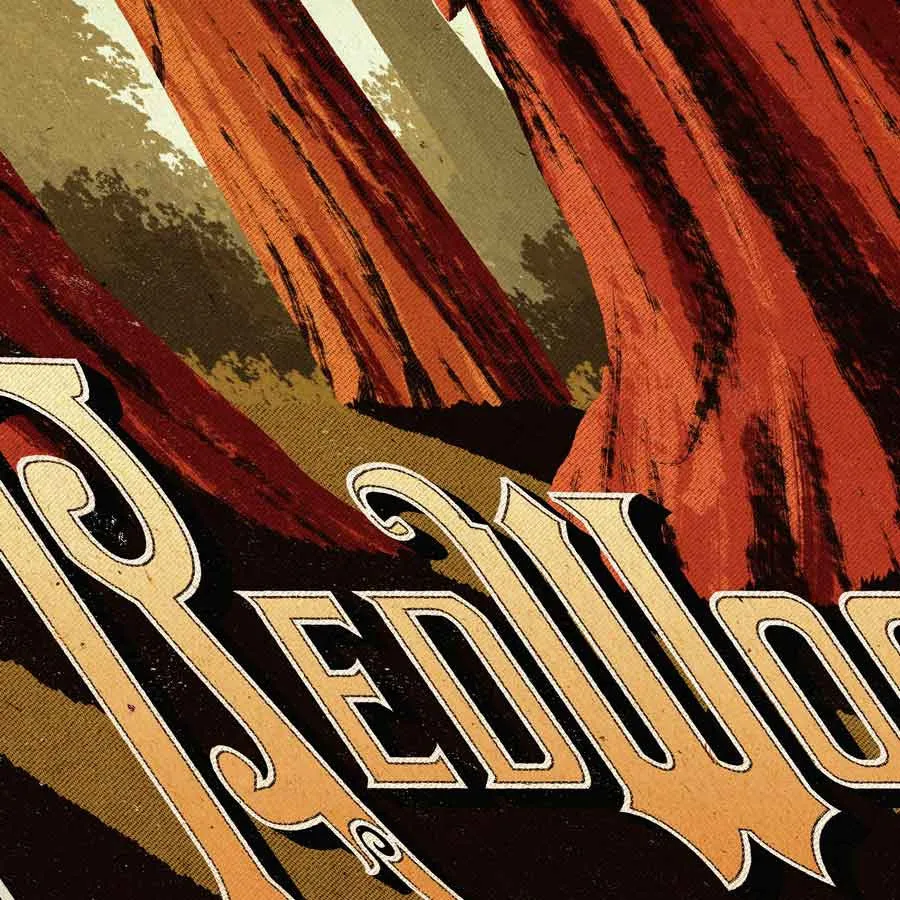 Redwoods National Park Poster