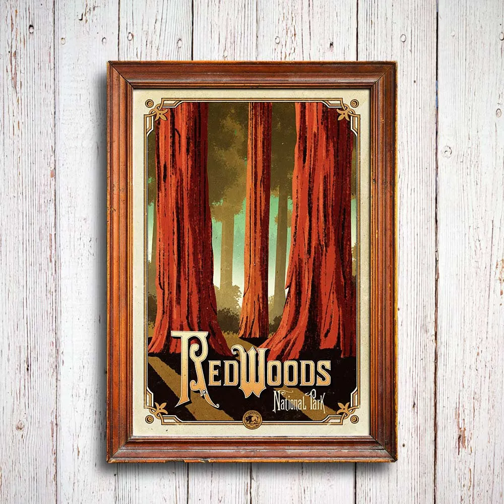 Redwoods National Park Poster