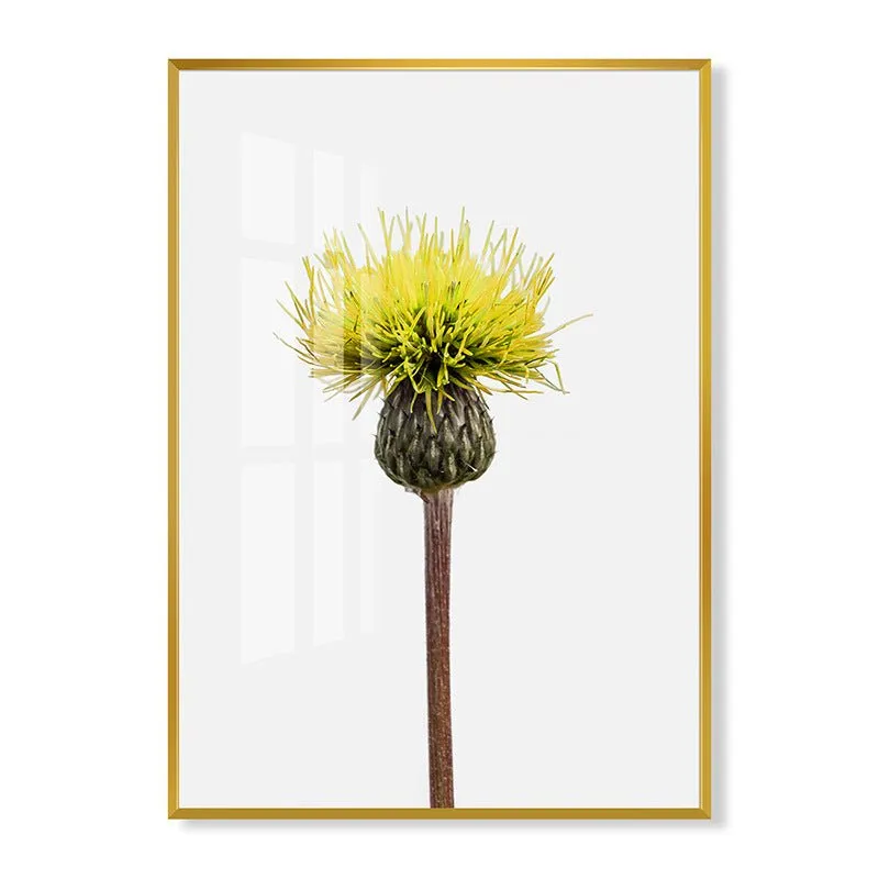 Stella Terrae Star Decoration Painting JLH59