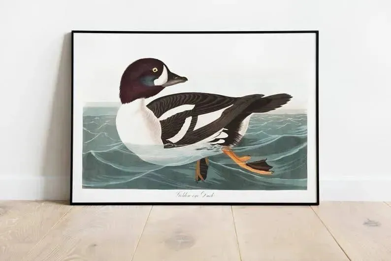 Vintage Bird Art Prints| Bird Poster