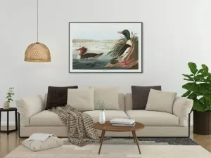 Vintage Bird Art Prints| Bird Poster