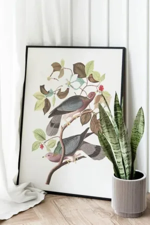 Vintage Bird Art Prints| Bird Poster
