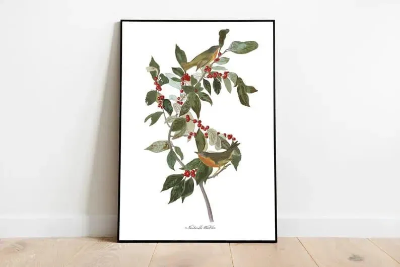 Vintage Bird Art Prints| Bird Poster