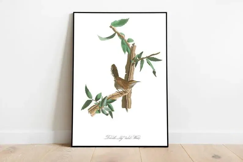 Vintage Bird Art Prints| Bird Poster