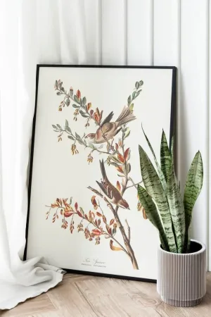 Vintage Bird Art Prints| Bird Poster