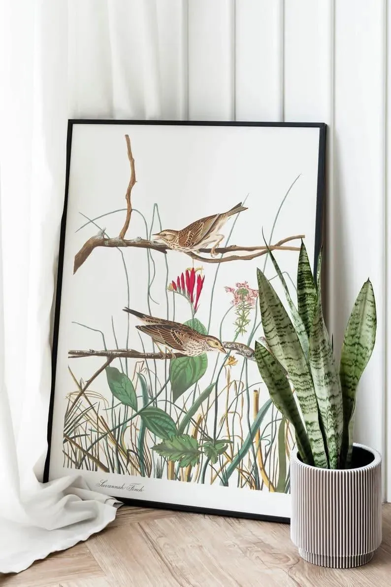 Vintage Bird Art Prints| Bird Poster