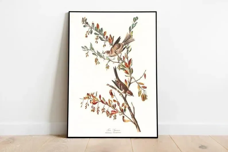 Vintage Bird Art Prints| Bird Poster