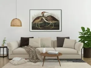 Vintage Bird Art Prints| Bird Poster