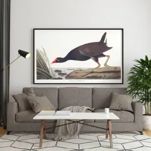 Vintage Bird Art Prints| Bird Poster